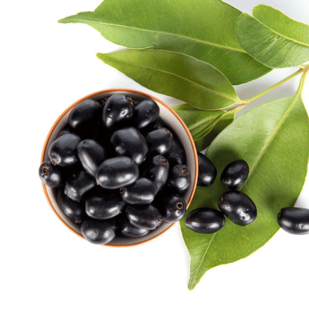 Java Plum (Jamun) - Fresh & Juicy 500gm