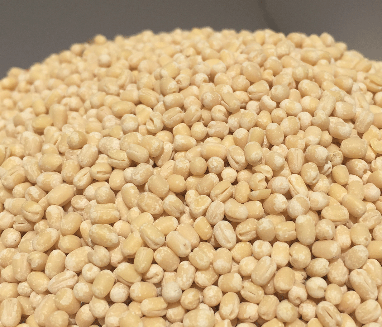 Premium Urad Dal (Black Gram) 1kg